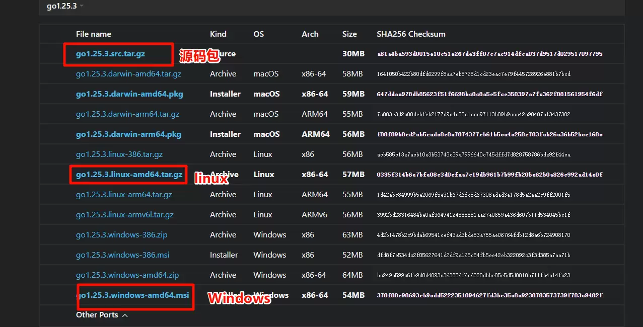 Go语言环境安装-码雨云博客